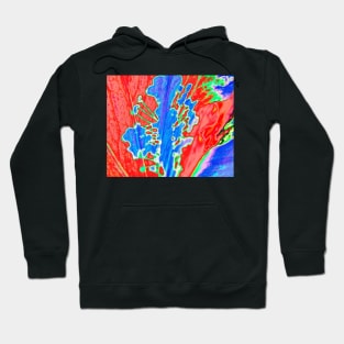 Gumamela Azure Hoodie